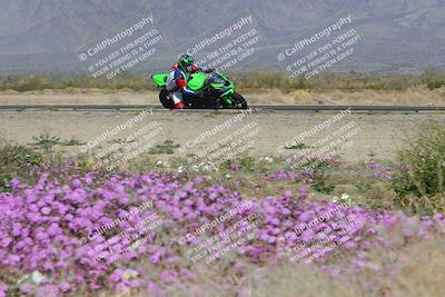 media/Feb-04-2023-SoCal Trackdays (Sat) [[8a776bf2c3]]/Turn 15 Inside Blooming (1050am)/